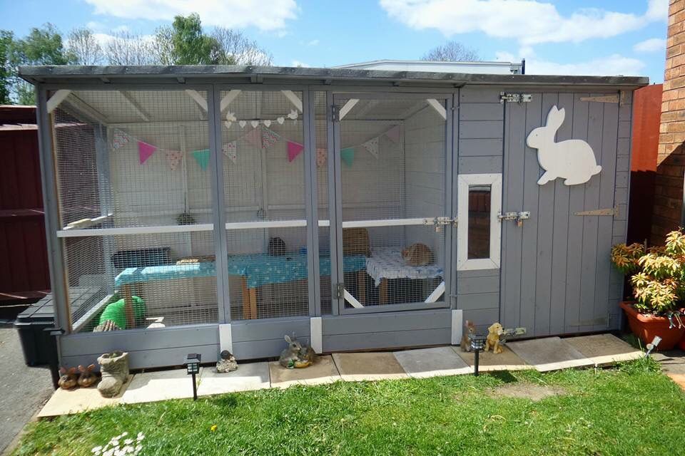 Clean rabbit enclosure example