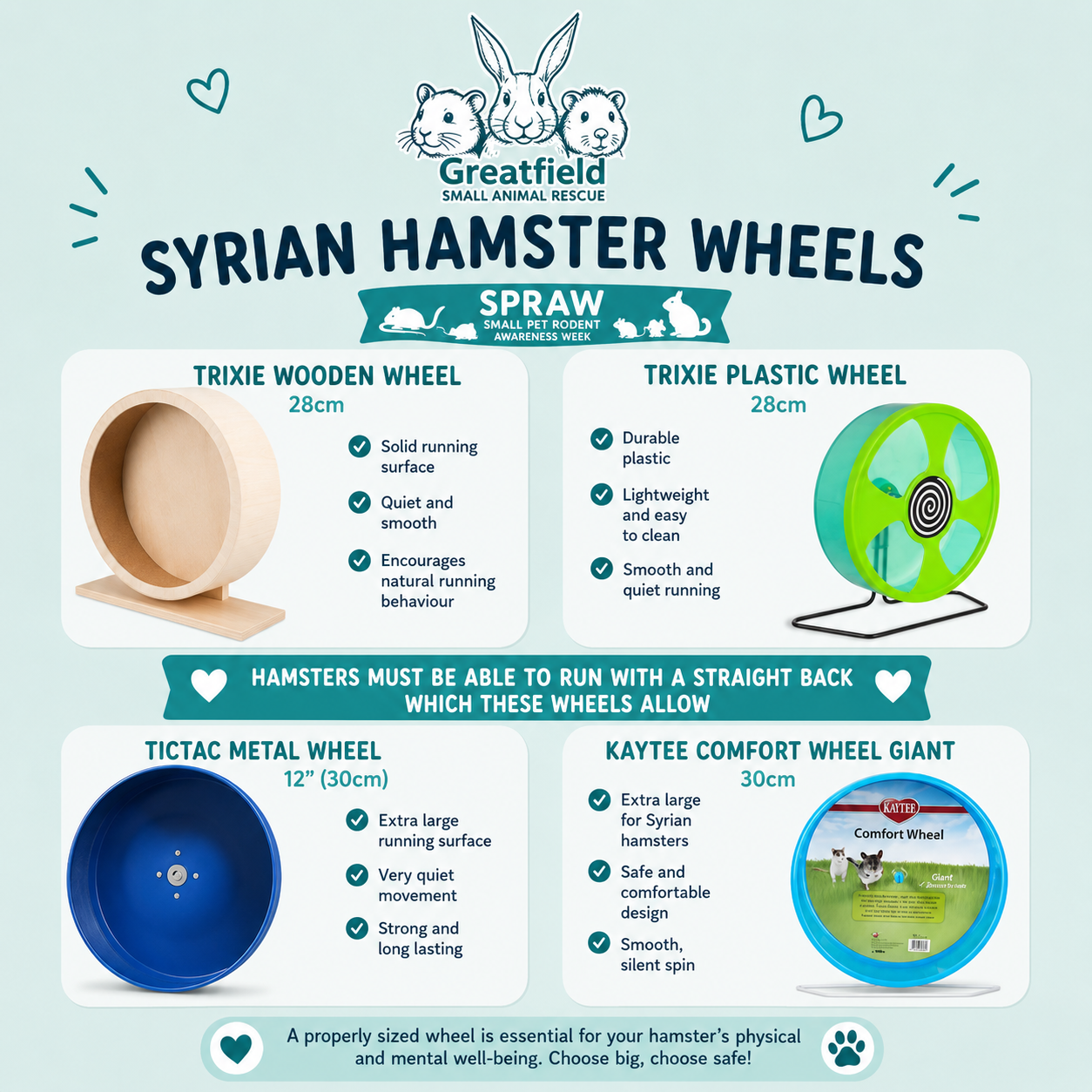 Hamster enrichment guide