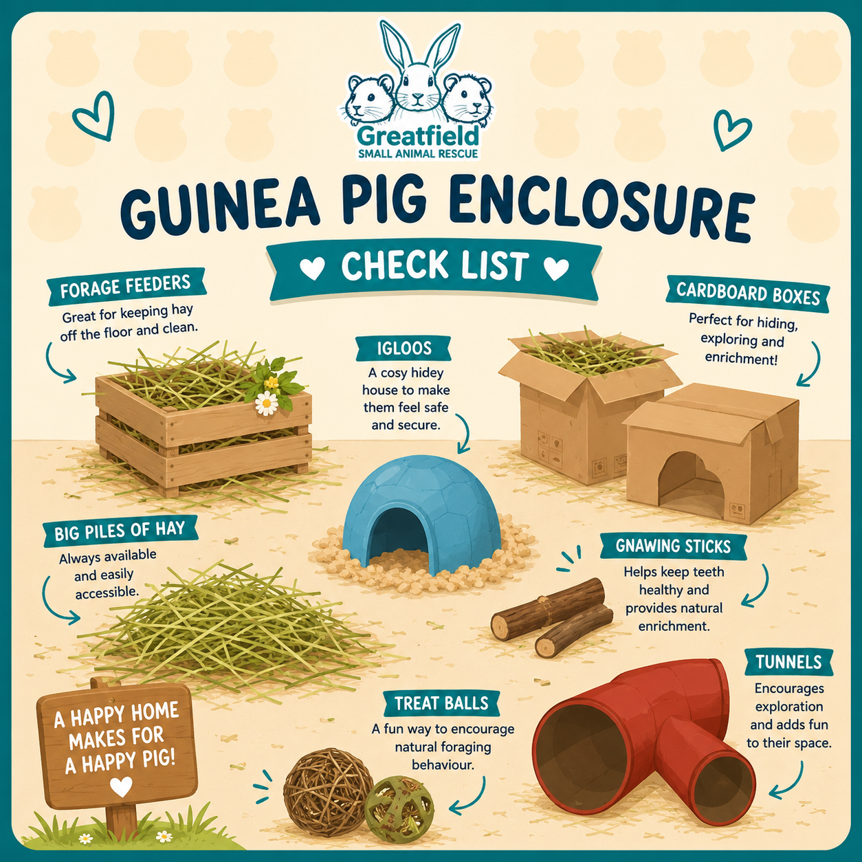 Guinea pig enrichment ideas