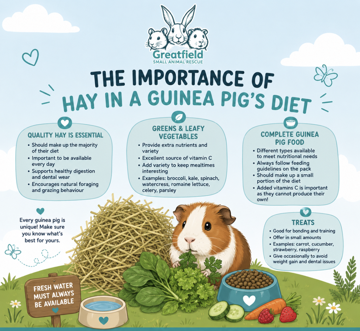 Guinea pig bedding and diet guide