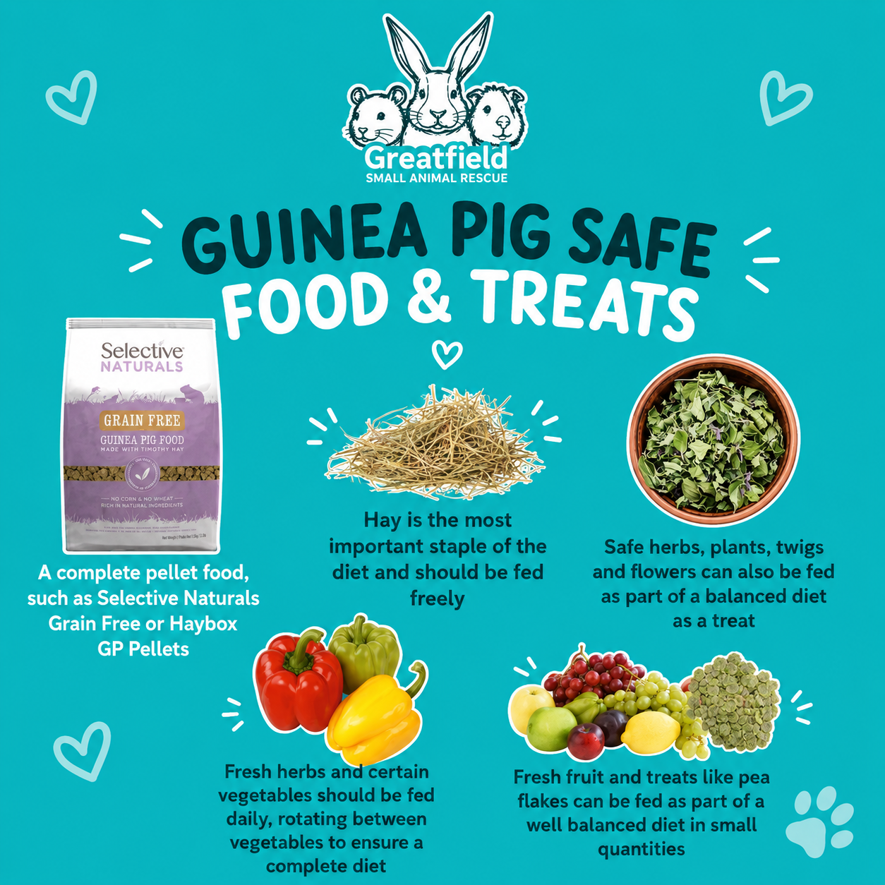 Guinea pig diet and nutrition guide