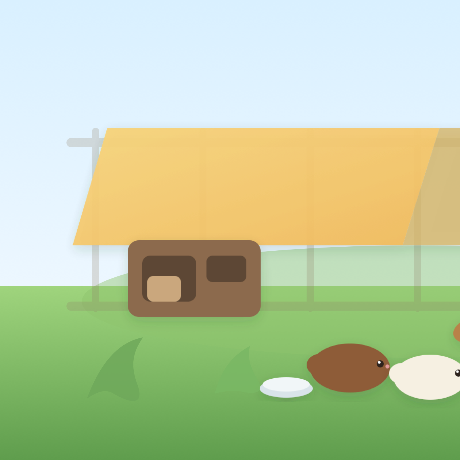 Two rabbits and two guinea pigs relaxing in a secure shaded outdoor run with shelters, grass and water bowls