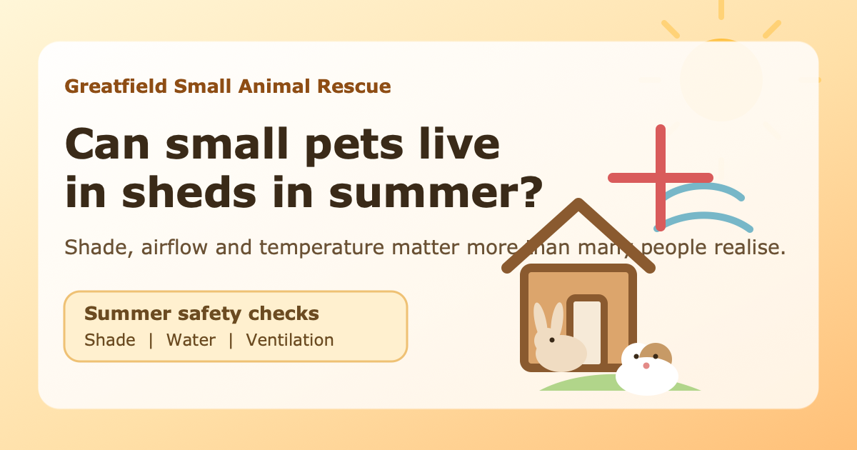 Illustrated featured image showing a rabbit and guinea pig beside a shed with summer safety reminders about shade, water and ventilation.